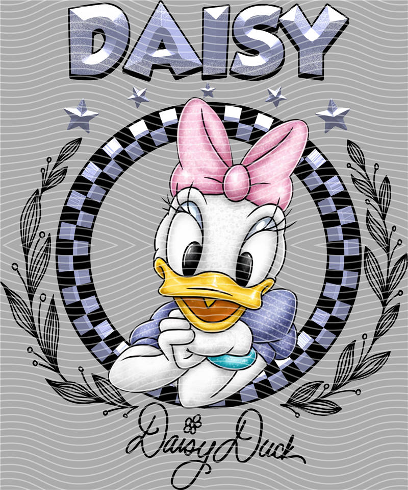 Disney-DS 527